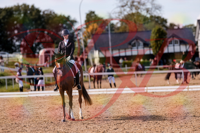 2026_10_03_Siefer-Hof_133307_Z81_91001241 | Professionelle Reitsport-, Turnier- und Eventfotografie von Robert Broda. Galerien mit ausgewählten und bearbeiteten Bildern direkt online ansehen und bestellen.