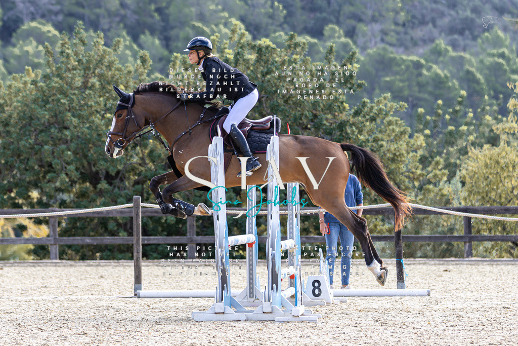 IMG_5768 | s-jay-photography - Realisiert mit Pictrs.com