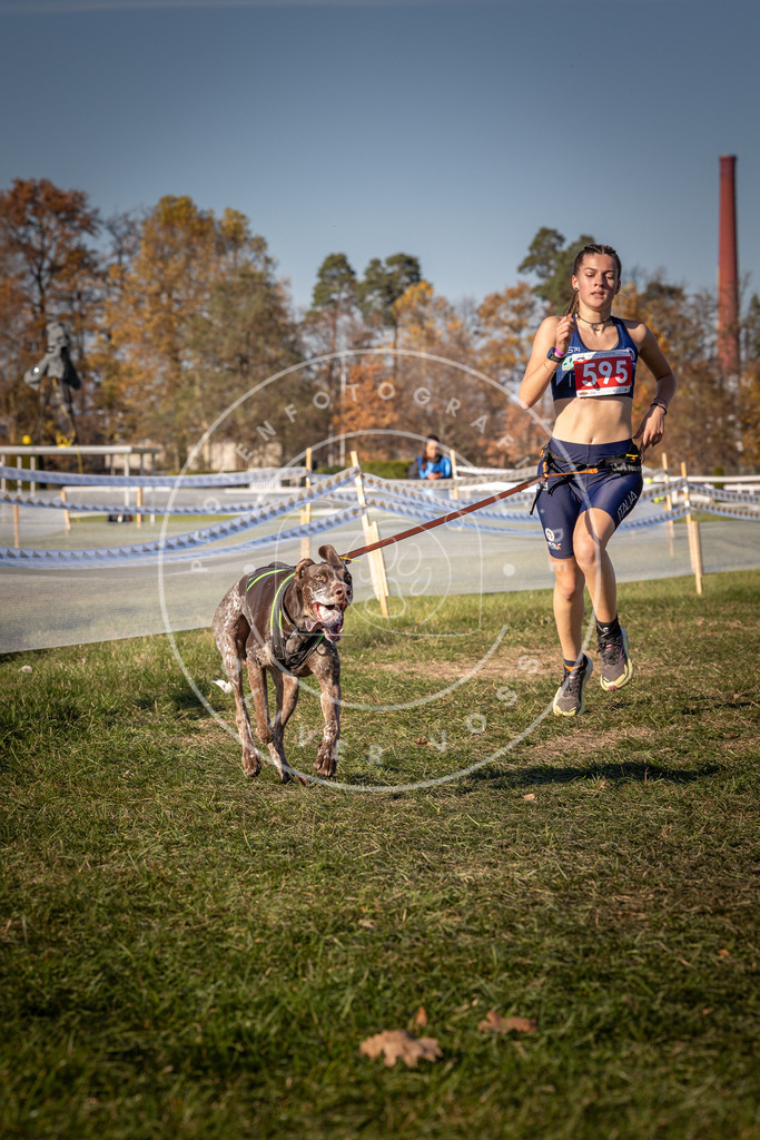 CaniXpix_0L8A8417 | Hundefotografie, Tierfotograf, Pfotenfotografie, Fotoshooting Hund, Hunde Portrait, Hundesport, Hundeportraits, Heideshooting, Hunde, Sportfotograf, Hundefotograf, Turnierhundsport, THS,  - Realisiert mit Pictrs.com