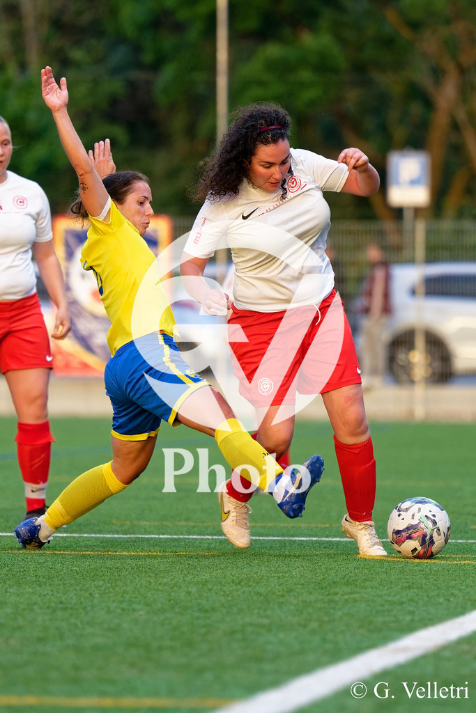 DSC_0393 | Velletri Photo