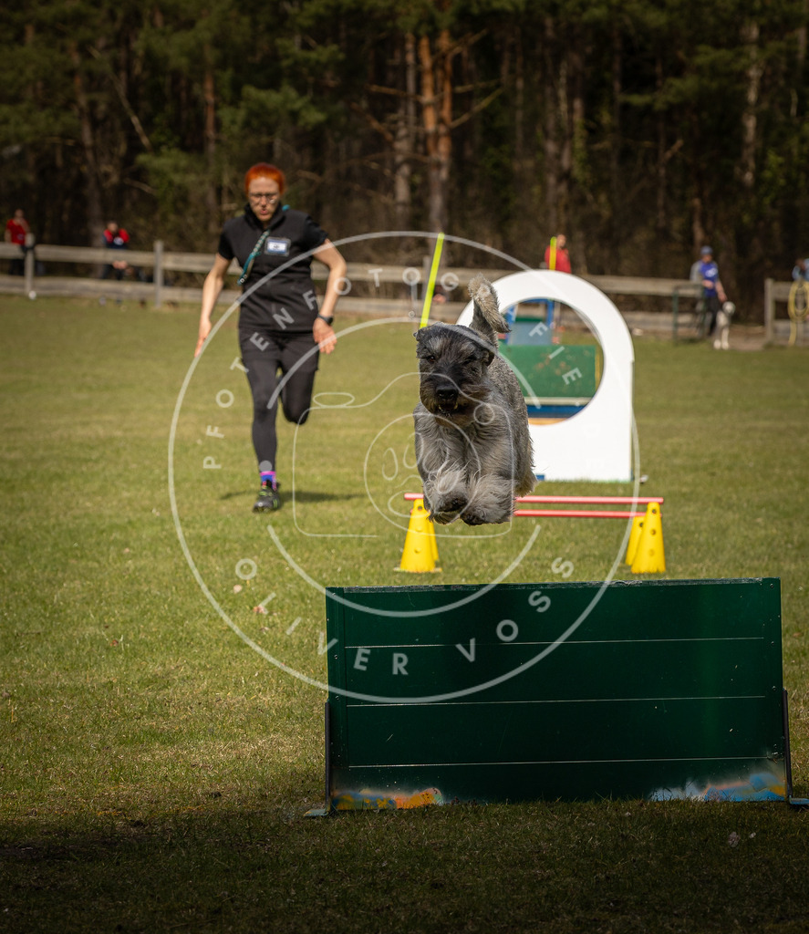 Pfotenfotografie_DV3A5512 | Hundefotografie, Tierfotograf, Pfotenfotografie, Fotoshooting Hund, Hunde Portrait, Hundesport, Hundeportraits, Heideshooting, Hunde, Sportfotograf, Hundefotograf, Turnierhundsport, THS,  - Realisiert mit Pictrs.com