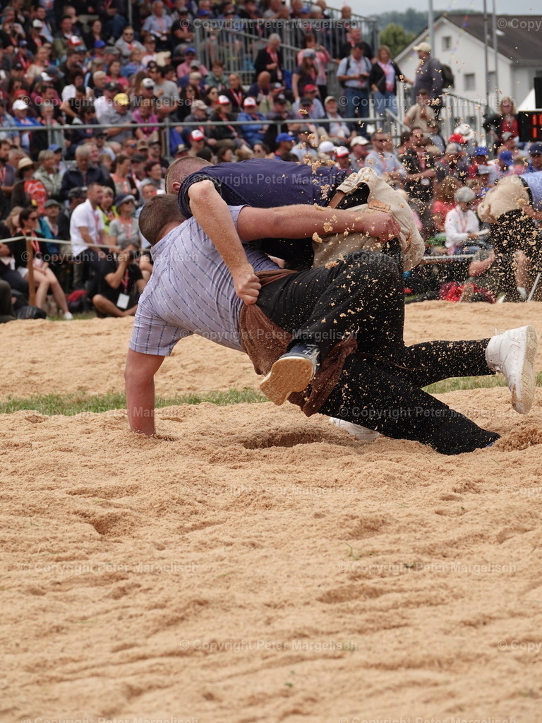 DSC04940 | Schwingen - Realisiert mit Pictrs.com