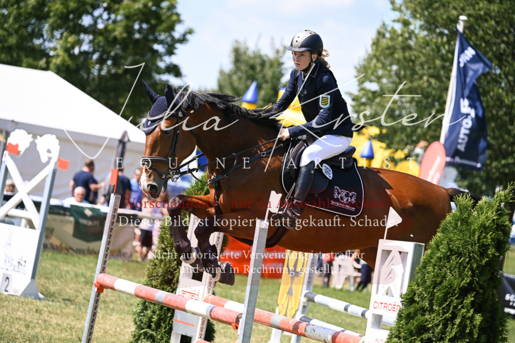 DSC_0139 | Pferde- und Turnierfotografie in Westsachsen. Pferdeportraits, Auftragszeichnungen und intuitive Kunst.