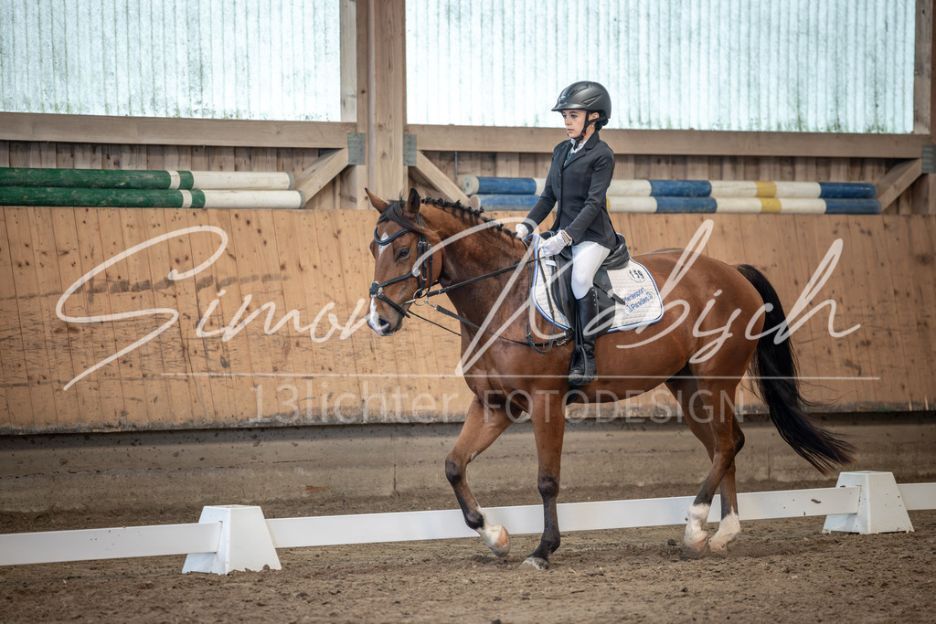 20251011-_3LI8205 | Tierfotografie Pferde, Hunde, Katzen, Haustiere.
Turnierfotografie Reitturniere, Reiten, Springreiten, Dressur in Hanau, dem Main-Kinzig-Kreis und dem Rhein-Main- Gebiet um Frankfurt