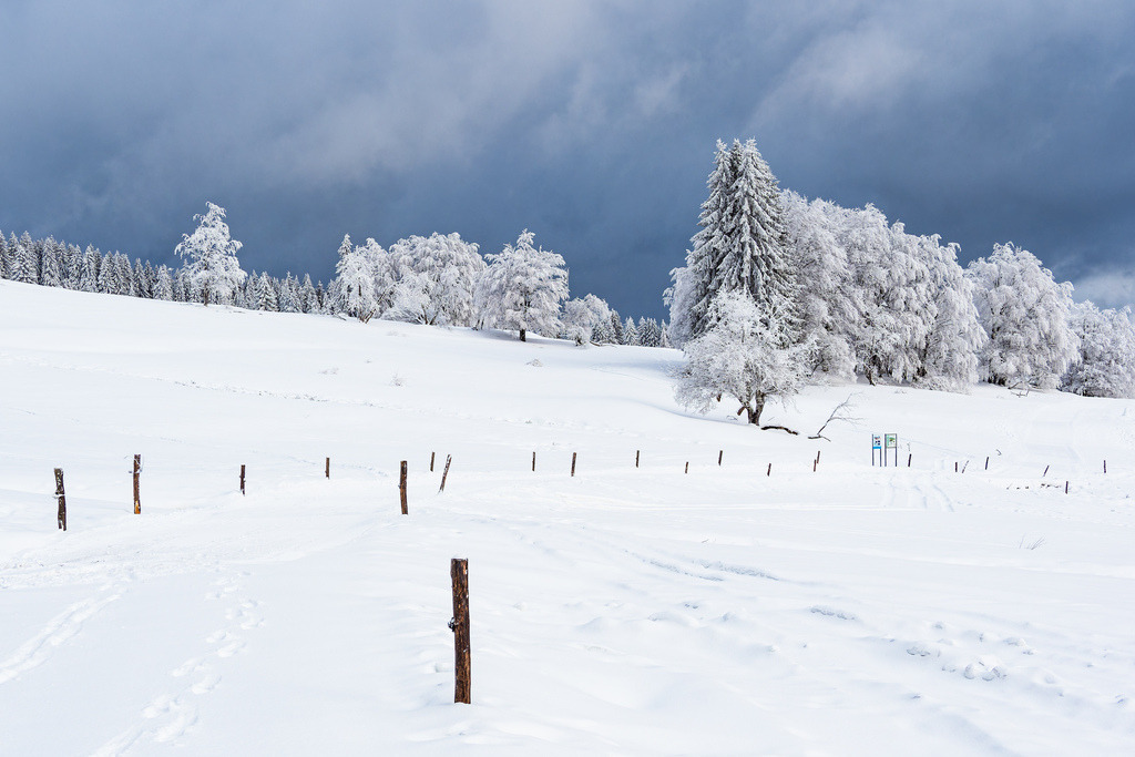 Landschaft im Winter im Thüringer Wald in der Nähe von Schmiedefeld am Rennsteig | Landschaft im Winter im Thüringer Wald in der Nähe von Schmiedefeld am Rennsteig.