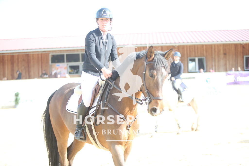 AS8V5750 | Willkommen bei Brunnmayr - Design & Fotografie – Ihrem Spezialisten für Reitturniere und Pferdeveranstaltungen in Oberösterreich, Salzburg und Bayern! Seit über 17 Jahren sind wir leidenschaftlich dabei.