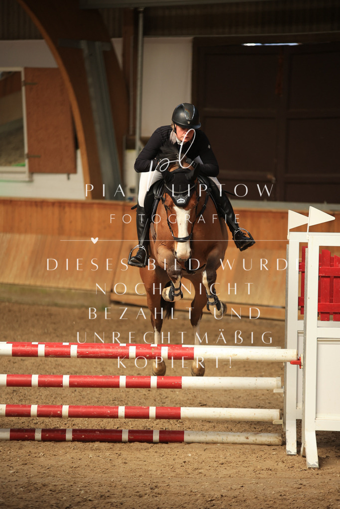 IMGT0771 | pl-fotografie