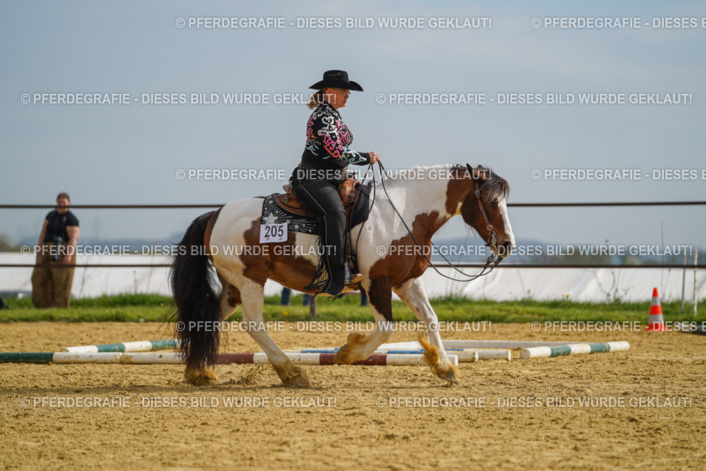 DSC02113 | Pferdegrafie