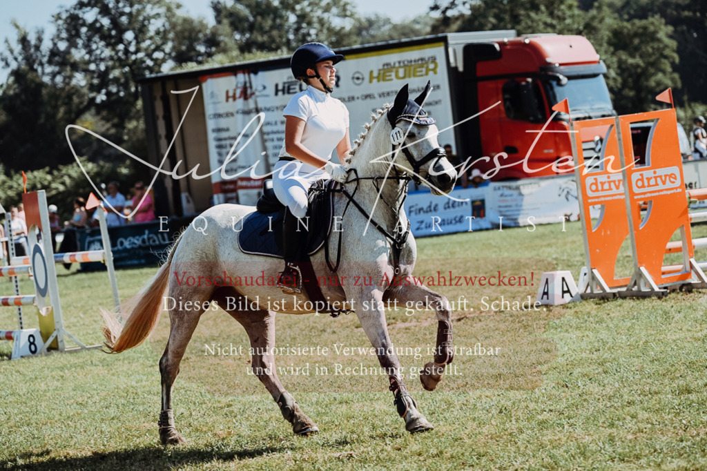 DSC_6105 | Pferde- und Turnierfotografie in Westsachsen. Pferdeportraits, Auftragszeichnungen und intuitive Kunst.