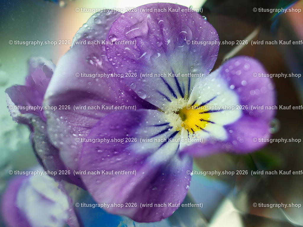 titusgraphy_P6167683-vz-ln | titusgraphy-shop: Geschenkideen mit Qualitätsfotos. titusgraphy-shop: gift ideas with quality photos. titusgraphy-shop: idées cadeaux avec photos de qualité.  - Realisiert mit Pictrs.com