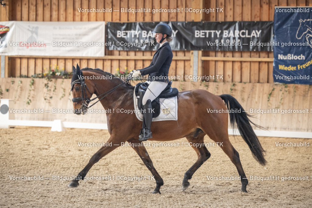 _D5A6021 | Emotionale Pferde- & People-Fotografie rund um Heidelberg, Leimen & Umgebung. Natürliche Fotos von Pferd, Mensch & Familie. Jetzt Termin sichern!