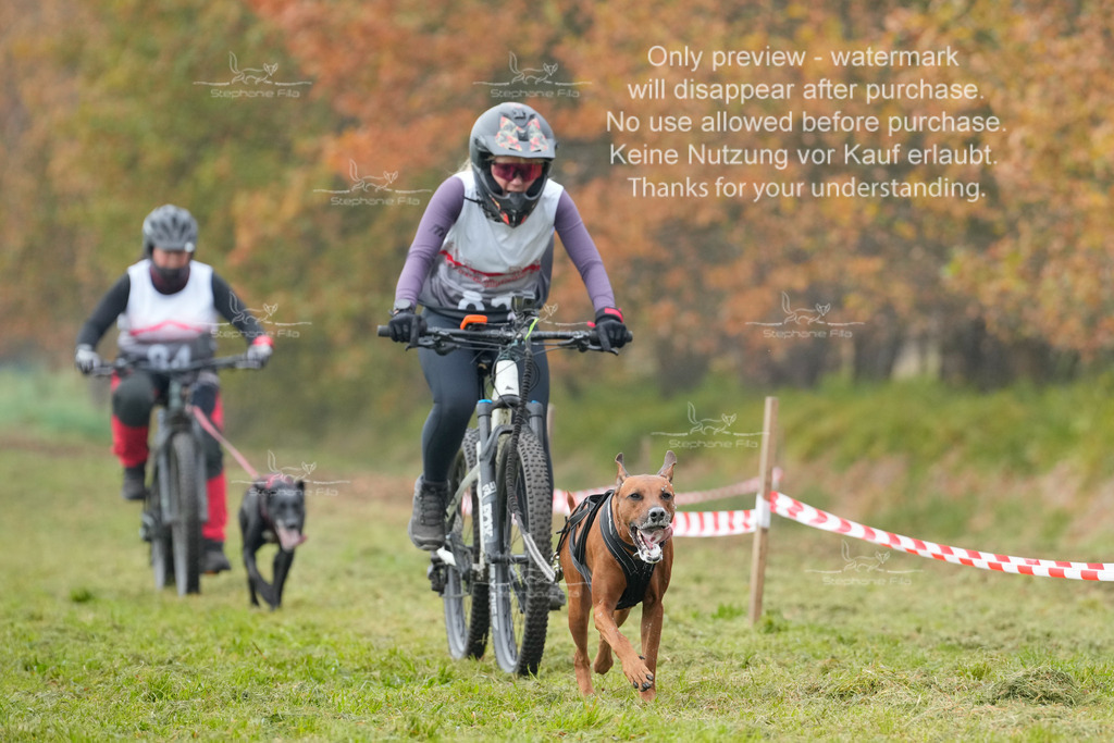 Visbeck_Sa_Bike-285 | stephaniefillaphotographie - Realisiert mit Pictrs.com