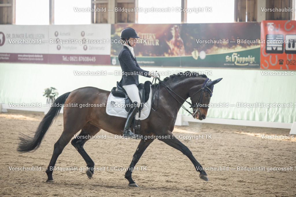 _D5A4290 | Emotionale Pferde- & People-Fotografie rund um Heidelberg, Leimen & Umgebung. Natürliche Fotos von Pferd, Mensch & Familie. Jetzt Termin sichern!