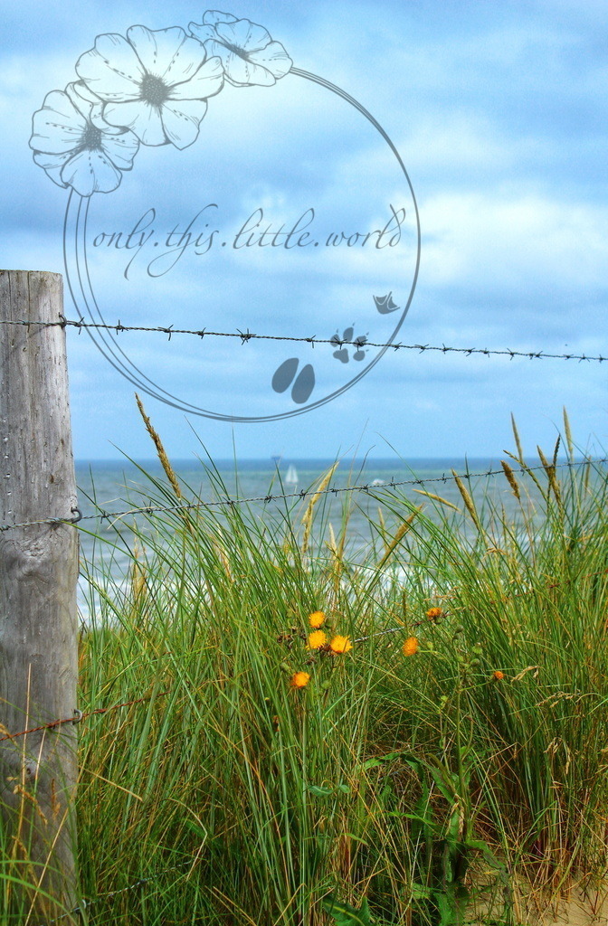 IMG_2283-01 1.0 | only.this.little.world - Realisiert mit Pictrs.com