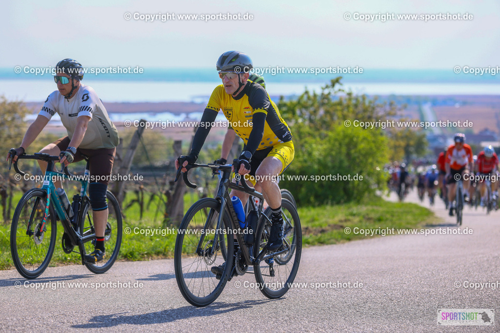 TRA_1032 | Neusiedlersee Radmarathon 2026@sportshot_your_pictrs #yourpictures#roadtowm2029 #nrm #neusiedlerseeradmarathon #neusiedlersee #neusiedlerseetourismus #burgenland #mörbisch #nrm26 #burgenlandtourismus #voglundco #poweredbyburgenlandtourismus #radsport #rad #marathon #ucigranfondo #visitburgenland #ucigranfondoworldseries