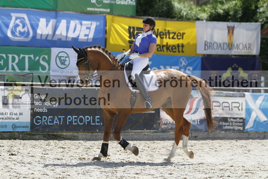 _MG_5611 | equestrian-live-com