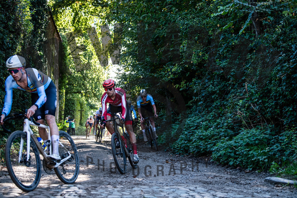 DKP-8212 | Drew Kaplan Photography