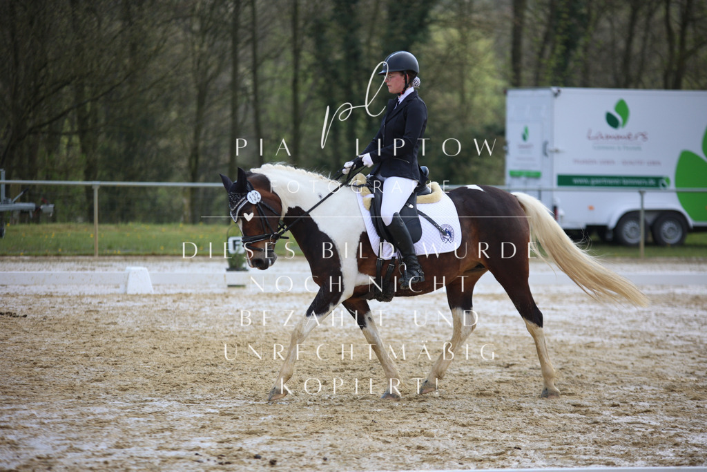 IMGT3560 | pl-fotografie