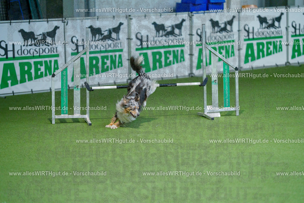 @allesWIRTHgut_Tierfotografie - www.allesWIRTHgut.de - 2604250958-7R509363 | Professionelle Tierfotografie in Mönchengladbach von Daniel Wirth (allesWIRTHgut). Liebevolle & natürliche Bilder von Hunden & Katzen für unvergessliche Erinnerungen.