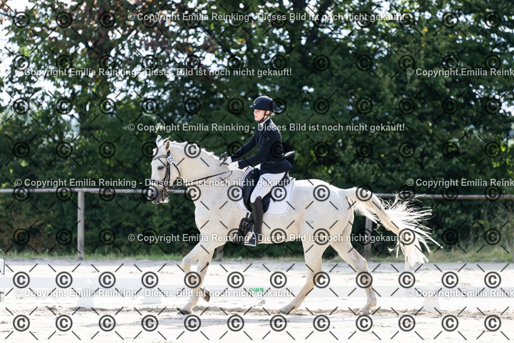 CL5A5531 | Emilia Reinking Fotografie - Realisiert mit Pictrs.com