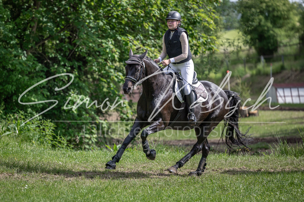 20260523-_3LI9911 | Tierfotografie Pferde, Hunde, Katzen, Haustiere.
Turnierfotografie Reitturniere, Reiten, Springreiten, Dressur in Hanau, dem Main-Kinzig-Kreis und dem Rhein-Main- Gebiet um Frankfurt