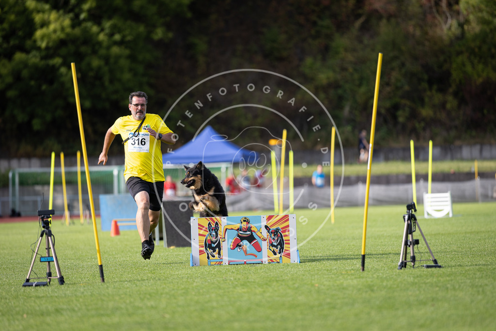 Pfotenfotografie_DV3A1903 | Hundefotografie, Tierfotograf, Pfotenfotografie, Fotoshooting Hund, Hunde Portrait, Hundesport, Hundeportraits, Heideshooting, Hunde, Sportfotograf, Hundefotograf, Turnierhundsport, THS,  - Realisiert mit Pictrs.com