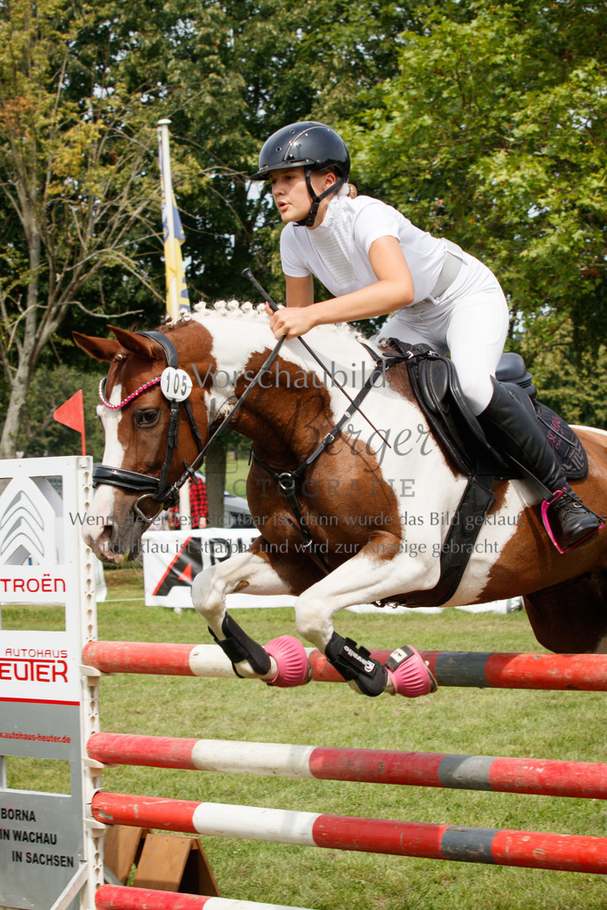 IMG_3320 | P. Berger Fotografie - Realisiert mit Pictrs.com