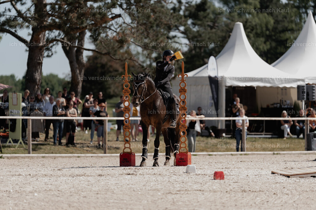 WE_SP_Stoib_309_PI2025_1496 | Pferd International München 2025