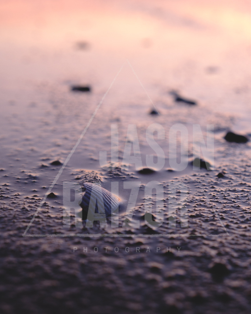 DSCF0464 | jasonraizor - Realisiert mit Pictrs.com