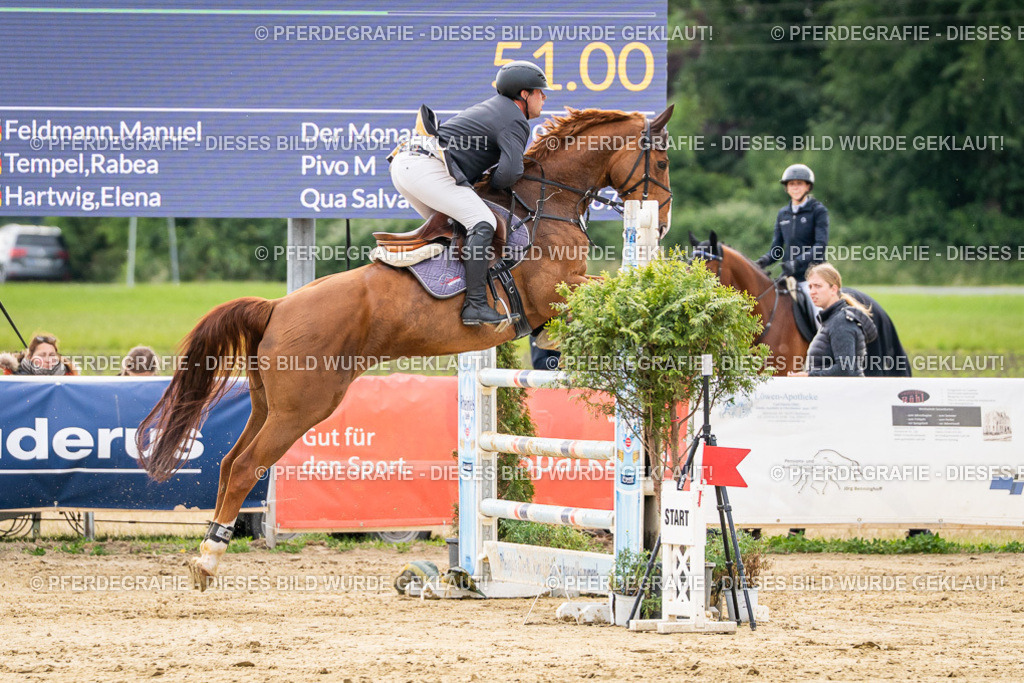 DSC06420 | Pferdegrafie