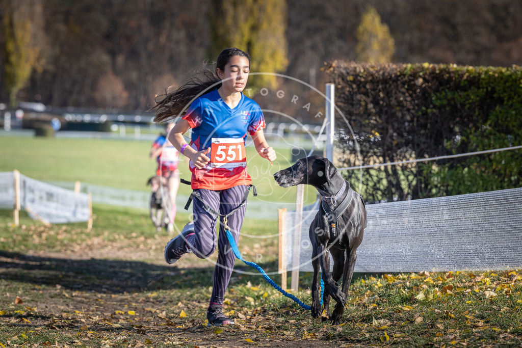 CaniXpix_DV3A8507 | Hundefotografie, Tierfotograf, Pfotenfotografie, Fotoshooting Hund, Hunde Portrait, Hundesport, Hundeportraits, Heideshooting, Hunde, Sportfotograf, Hundefotograf, Turnierhundsport, THS,  - Realisiert mit Pictrs.com