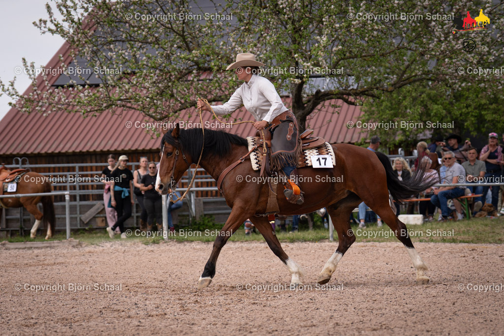 LMB09538 | BS-foto