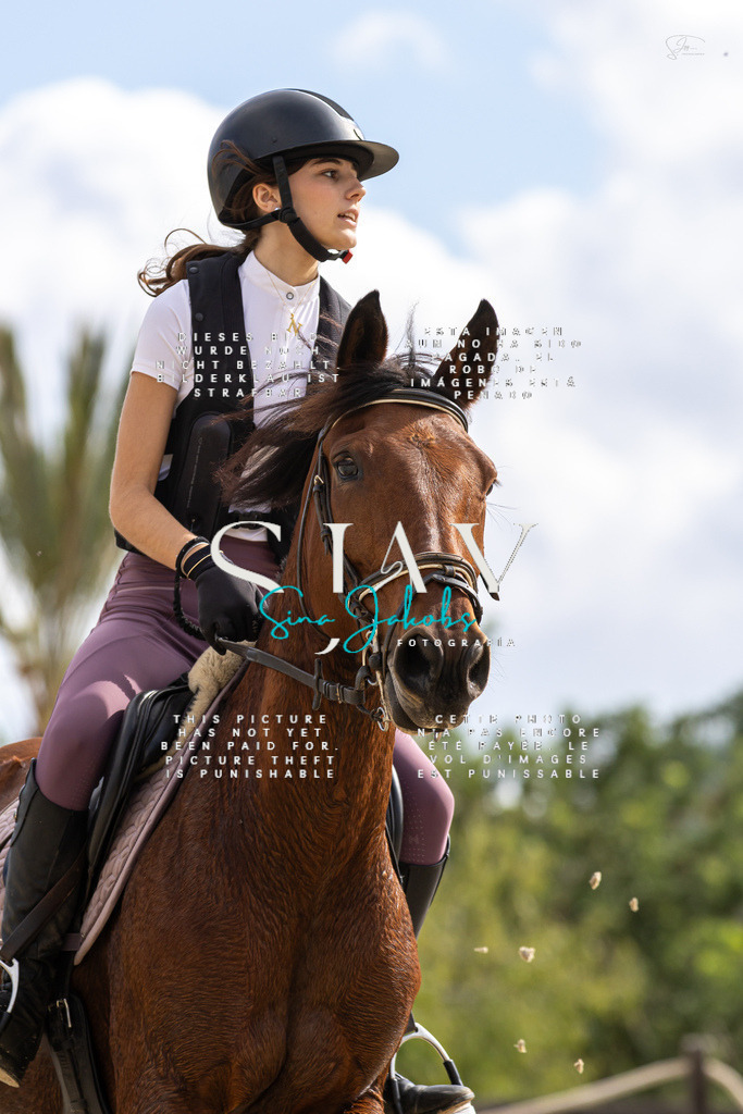 IMG_2636 | s-jay-photography - Realisiert mit Pictrs.com