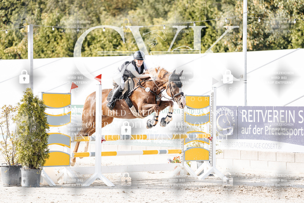 CK906019 | Turnierfotografie Pferdefotografie Trier Rheinland-Pfalz Pferdesport Reitsport Tierfotografie Sportfotografie Pferdevideo Pferdevideografie Equestrianvideography equestrianphotography  - Realisiert mit Pictrs.com