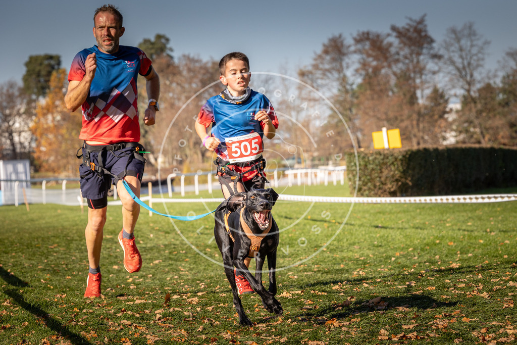 CaniXpix_0L8A6677 | Hundefotografie, Tierfotograf, Pfotenfotografie, Fotoshooting Hund, Hunde Portrait, Hundesport, Hundeportraits, Heideshooting, Hunde, Sportfotograf, Hundefotograf, Turnierhundsport, THS,  - Realisiert mit Pictrs.com