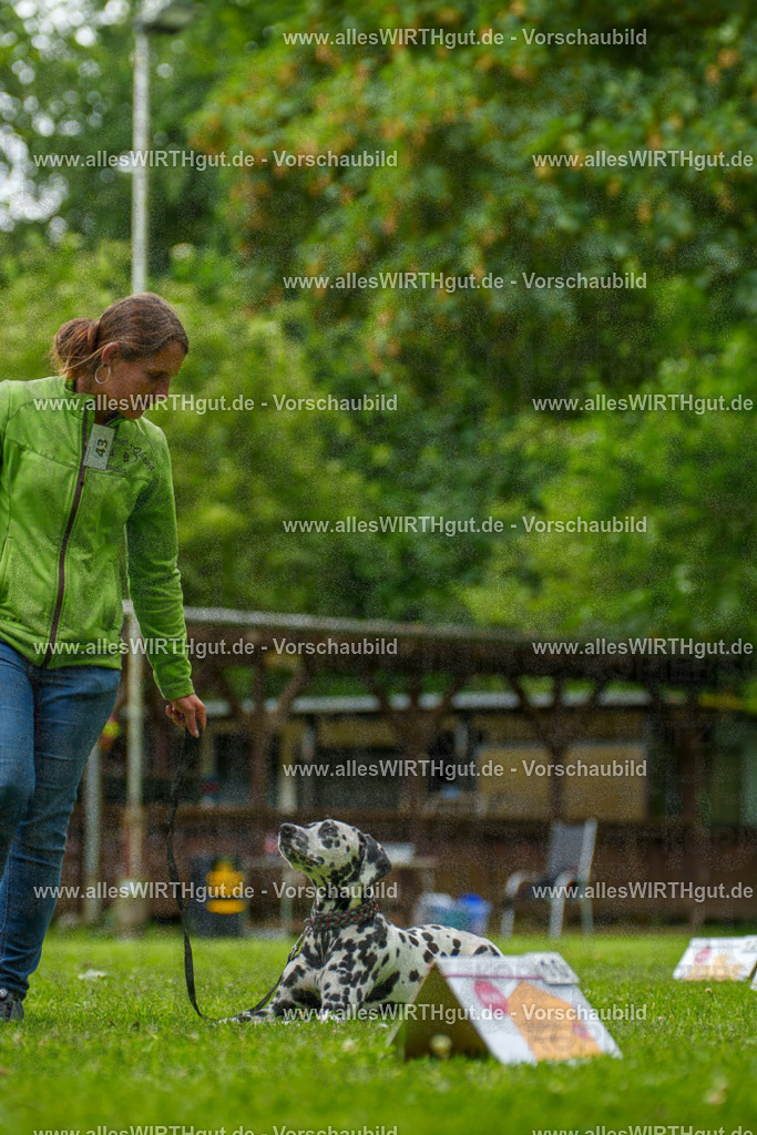 @allesWIRTHgut_Tierfotografie - www.allesWIRTHgut.de - 135257-7R500136 | Professionelle Tierfotografie in Mönchengladbach von Daniel Wirth (allesWIRTHgut). Liebevolle & natürliche Bilder von Hunden & Katzen für unvergessliche Erinnerungen.