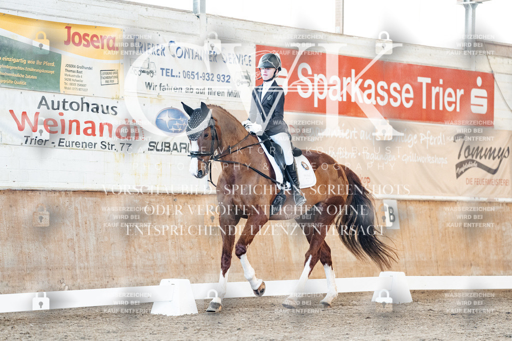 CK906759 | Turnierfotografie Pferdefotografie Trier Rheinland-Pfalz Pferdesport Reitsport Tierfotografie Sportfotografie Pferdevideo Pferdevideografie Equestrianvideography equestrianphotography  - Realisiert mit Pictrs.com