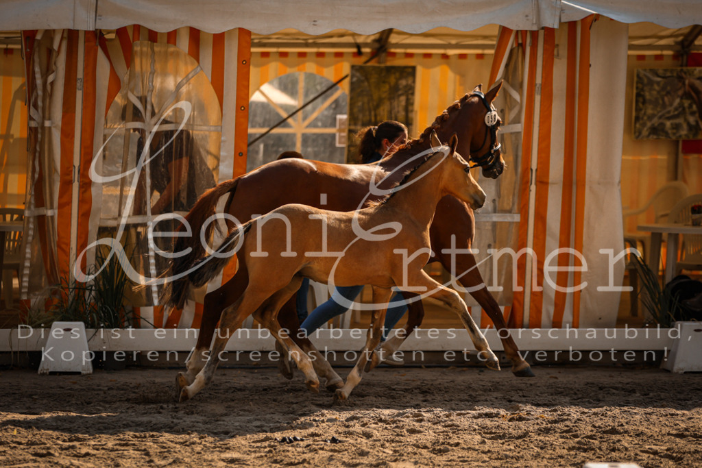 11.DoRP00153 | Leoni Ertmer Photography - Realisiert mit Pictrs.com