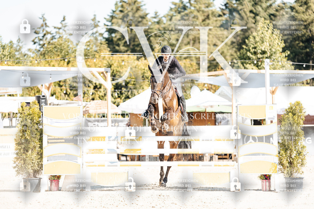 CK902298 | Turnierfotografie Pferdefotografie Trier Rheinland-Pfalz Pferdesport Reitsport Tierfotografie Sportfotografie Pferdevideo Pferdevideografie Equestrianvideography equestrianphotography  - Realisiert mit Pictrs.com