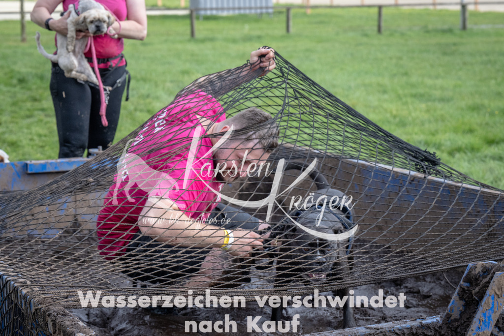 1417_ZZ91853 | kk-dogfotos