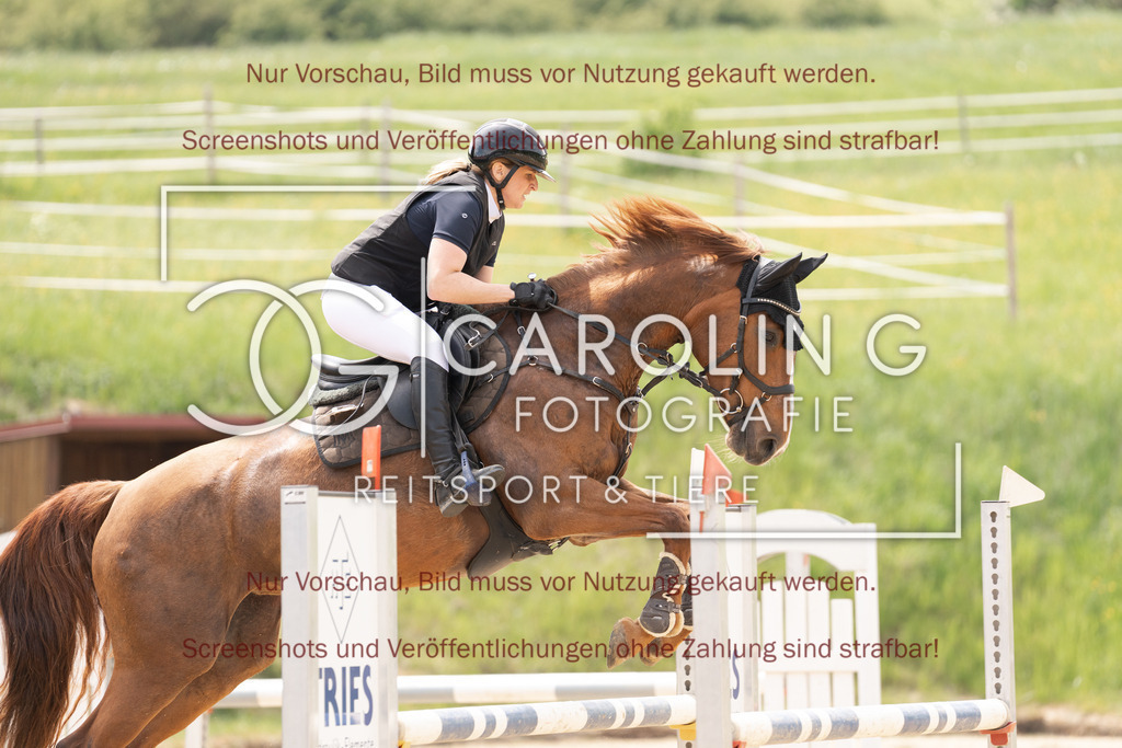 DSC06652 | Springturnier_Ehingen_Mai_2026, Stefanie_Niedermaier, Karzalis