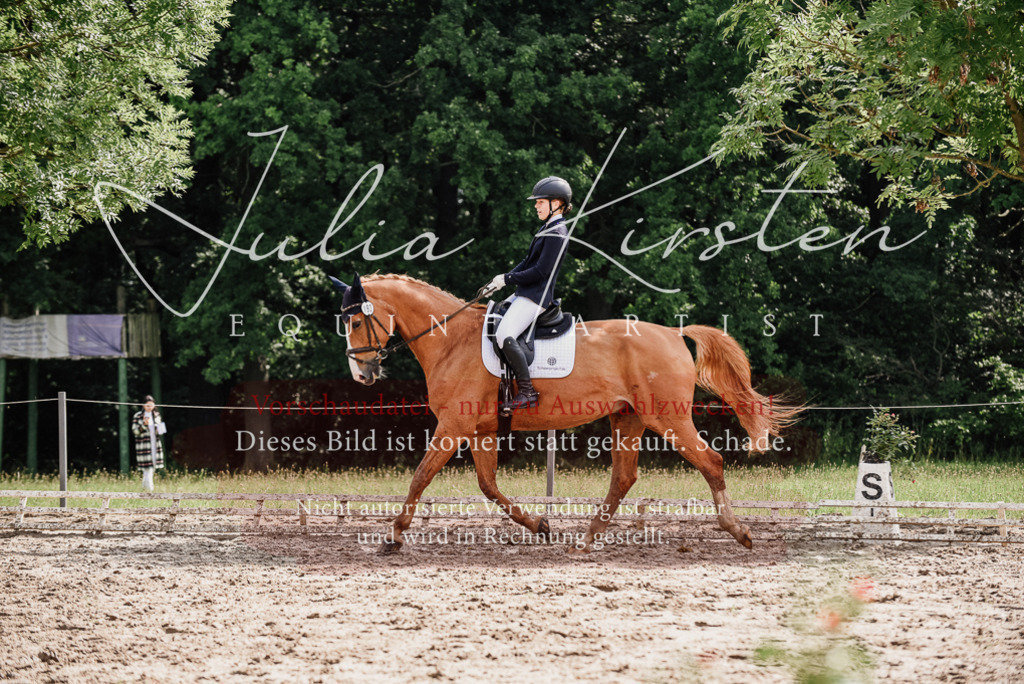 DSC_0018 | Pferde- und Turnierfotografie in Westsachsen. Pferdeportraits, Auftragszeichnungen und intuitive Kunst.