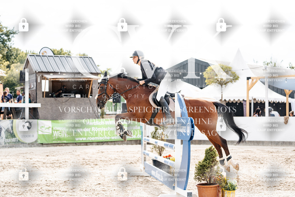 CK903001 | Turnierfotografie Pferdefotografie Trier Rheinland-Pfalz Pferdesport Reitsport Tierfotografie Sportfotografie Pferdevideo Pferdevideografie Equestrianvideography equestrianphotography  - Realisiert mit Pictrs.com