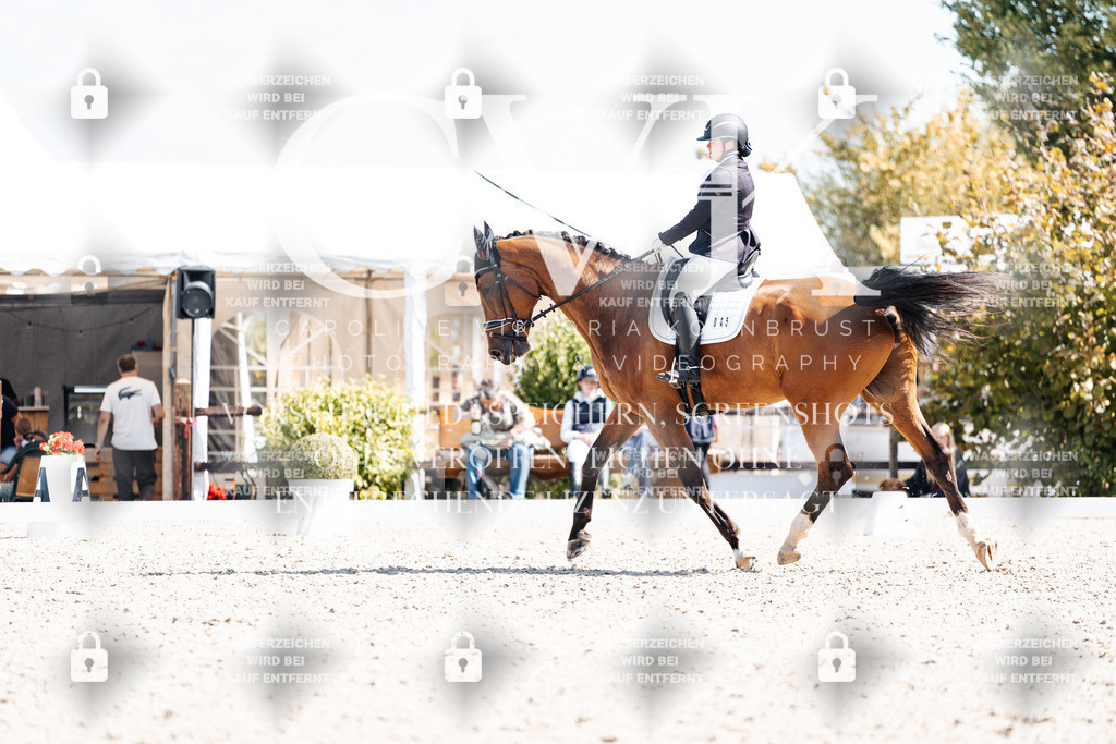 CK903193 | Turnierfotografie Pferdefotografie Trier Rheinland-Pfalz Pferdesport Reitsport Tierfotografie Sportfotografie Pferdevideo Pferdevideografie Equestrianvideography equestrianphotography  - Realisiert mit Pictrs.com