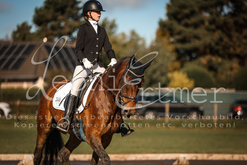 13.SoDrA100428 | Leoni Ertmer Photography - Realisiert mit Pictrs.com