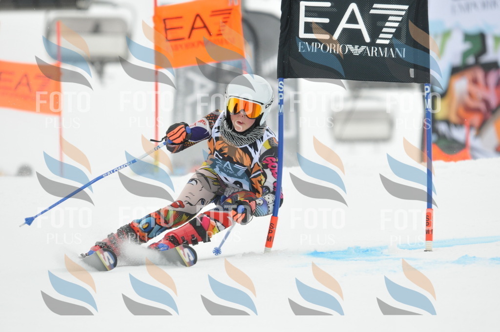 DSC_8052 | holidayphoto