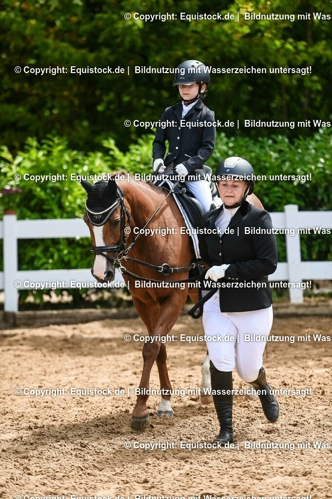 20230716_11_Führzügel-WB_0192 | equistock