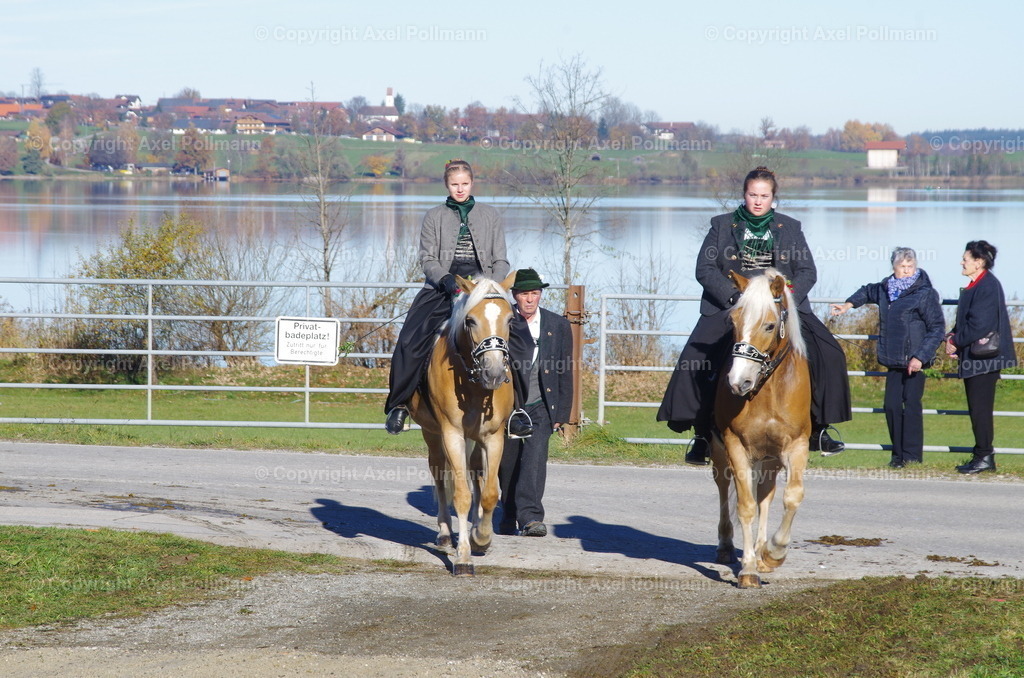 IMGP7610 | fotografiert von Axel PollmannLeonhardi Wallfahrt Benediktbeuern und Murnau, Fronleichnam, Fasching, Landschaft im Loisachtal und Benediktbeuern  - Realisiert mit Pictrs.com