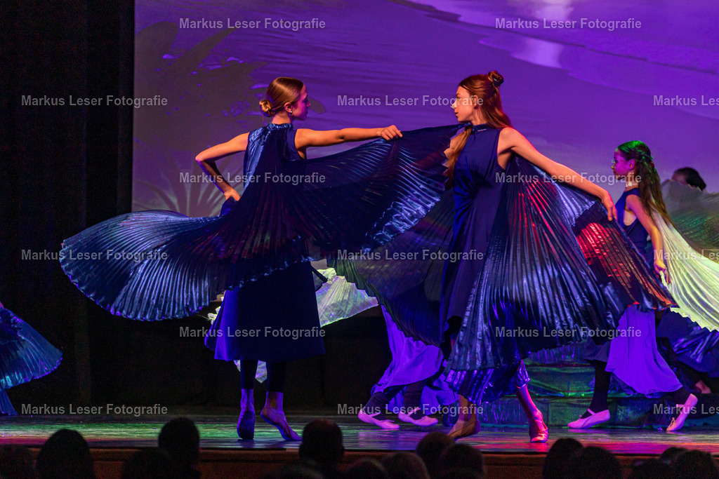 mlBallettSaNachm-7638 | Markus Leser Fotografie - Realisiert mit Pictrs.com