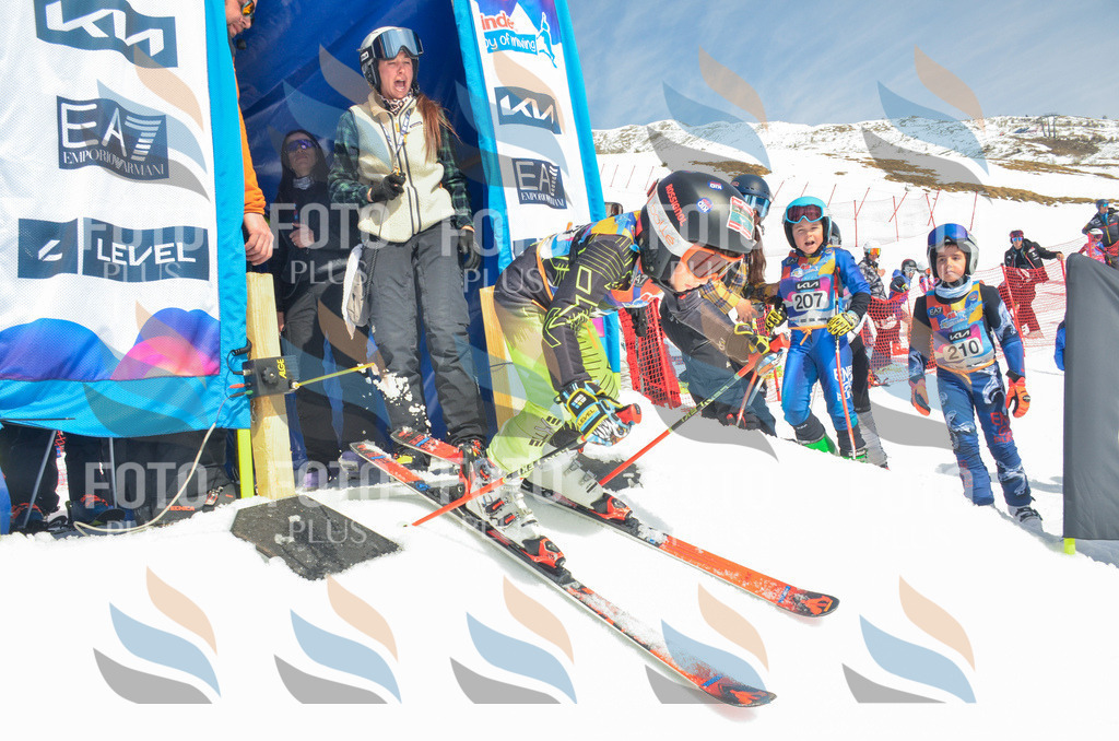 _ELE6536 | holidayphoto